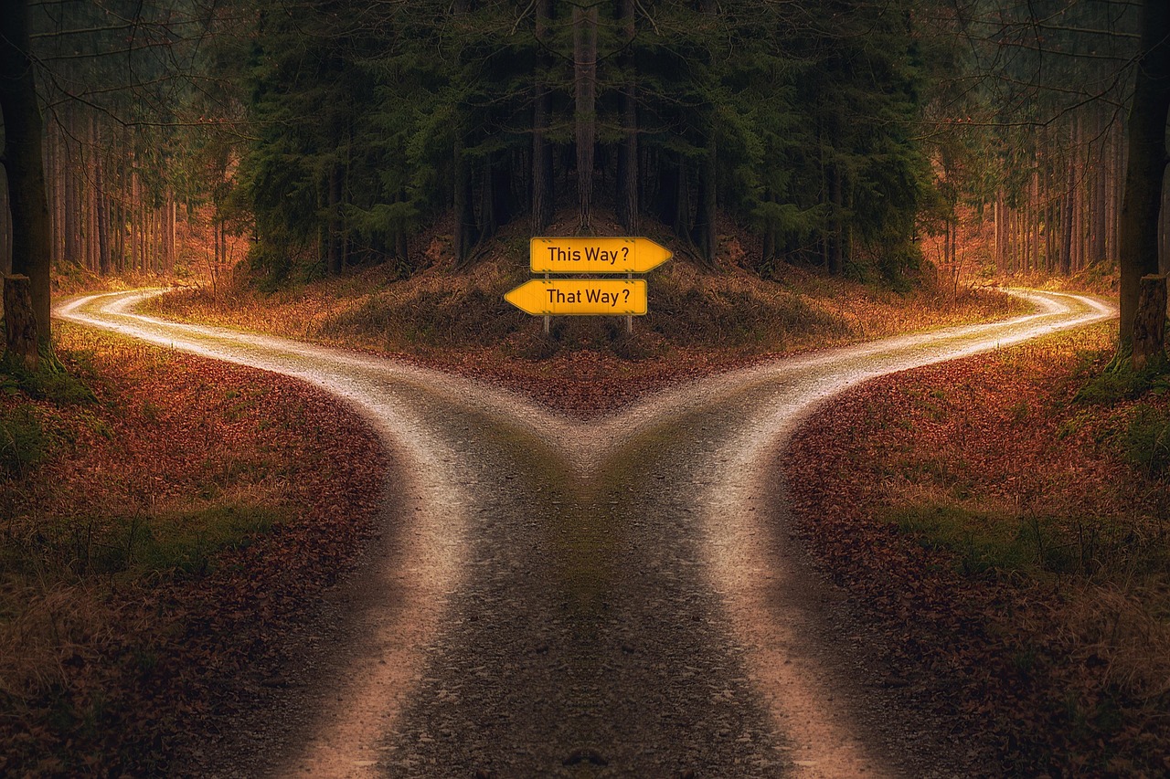 Optimize Vendor Selection Decisions